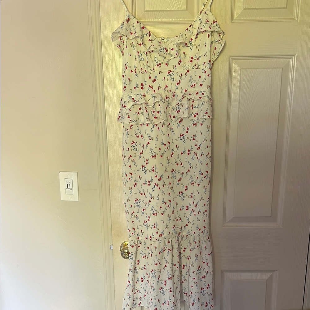 Petal & Pup/Sweet Pot Floral Ruffle Maxi Dress - Cream with Red Accents
